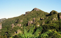 Tour de l'île de la Grande Barrière comprising des vols aller-retour au départ d'Auckland