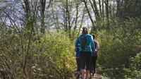 Stanley Park and Downtown Vancouver Running Tour 