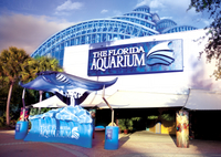 L'Aquarium de Floride à la Baie de Tampa