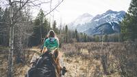 1-Hour Horseback Trail Ride in Kananaskis