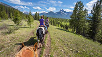 Full-Day Horseback Trail Ride and Lunch in Kananaskis