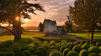 Entreebewijs Kasteel van Amboise Entreebewijs Kasteel van Amboise