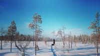 7-Day Small-Group Winter Activity Tour in the Wilderness of Northeast Finland