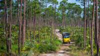 Bahamian Outdoor Adventure image 1 Bahamian Outdoor Adventure image 1