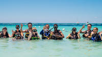 Freeport Discover Scuba Diving Experience