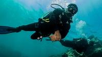 6 Diving Sites Scuba Diving Package in Gran Canaria