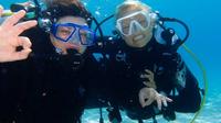 PADI Beginners Course: Pool and Sea Dive