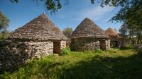 ISTRIA EXPLORER TOUR from Pula