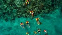 Marinarium Snorkeling Half Day Cruise