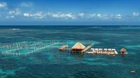Reef Explorer Half Day Trip