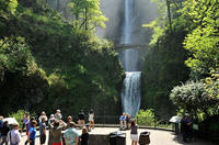 Small Group Columbia Gorge Waterfalls and Wine Tour from Portland