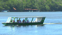 Day Trip to Tortuguero National Park from San Jose