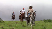 Horseback Riding, Zipline and Hot Springs Tour in Guanacaste