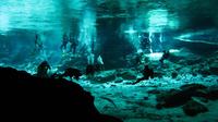 Cenotes 2-Tank Scuba Diving Adventure from Merida