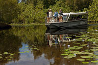 Noosa Everglades Cruise BBQ Déjeuner