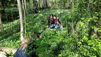 Half-Day Forest Bike Tour from Helsinki