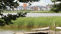 Helsinki Forest Walking Tour