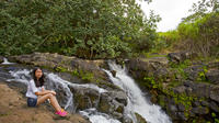 Kauai Waterfalls Tour