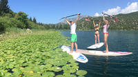 Bacina Lakes Stand Up Paddle Tour