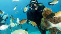 4-Dive Scuba Adventure in Fuerteventura