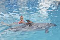 Nage AVEC LES DAUPHINS Ë Ocho Rios