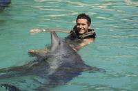 Ultimate Swim Dolphin Program in Ocho Rios