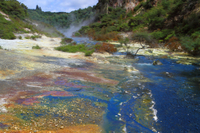 Visite écothermal matinal en petit groupe à Rotorua