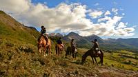 Horseback Riding in Cerro Negro from Coyhaique