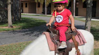 Children's Pony Ride in Miami 