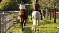 Horseback Trail Rides in Miami