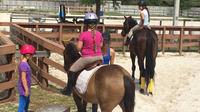 Summer Camp Miami Equestrian Club