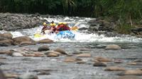 Whitewater Rafting - Class II-III