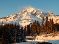 Excursion d une journée au Mont Rainier au départ de Seattle