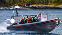 Midnight sun photo safari by Rib-boat image 1 Midnight sun photo safari by Rib-boat image 1