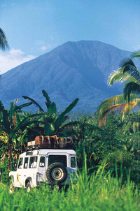 Visite en petit groupe: forêt tropicale de Bali en 4X4