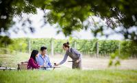 Tours for Two: Private Mornington Peninsula luxe Alimentation et Excursion d'une journée Dégustation de vin de Melbourne