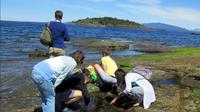 Vancouver Island Forest and Beach Nature Tour