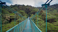 Selvatura Park Hanging Bridge Canopy Tour in Monteverde