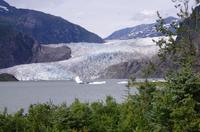 Whale Watching, Brewery Tour and Mendenhall Glacier