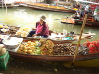 Croisière D'une journée à destination des marchés flottants de Damnoen Saduak, au départ de Bangkok