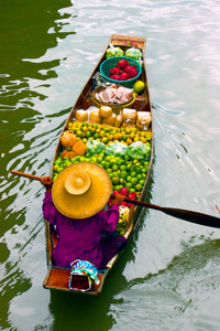 Croisière D'une journée à destination des marchés flottants de Damnoen Saduak, au départ de Bangkok