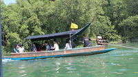 Pranburi Mangrove Swamp and River Cruise