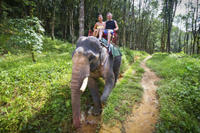 Private Tour: Elephant Adventure, Hilltribes and Mae Kok River Trip from Chiang Rai