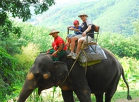 Safaritour van een halve dag door Phuket Safaritour van een halve dag door Phuket