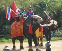 Sampran Elephant Ground and Zoo Tour from Bangkok