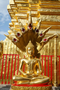 Visite privée: ville de Chiang Mai et des temples