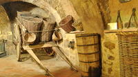 Ribera del Duero Underground Wine Museum Ticket