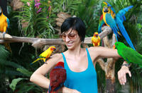 Private Tour: Singapore’s Jurong Bird Park Tour