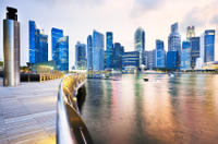 Singapore Arrival Transfer: Airport to Cruise or Ferry Port 