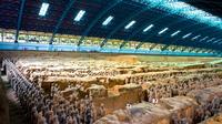 Glories of Xi'an Day Tour: Terracotta Army, Great Mosque, and City Wall